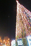 Christmas Downtown Beirut 2004