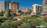 Beirut Riad El Solh Garden