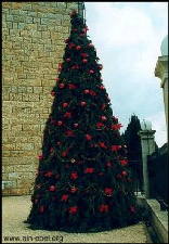 The Christmas Tree at the Church Square - Ain - Ebel