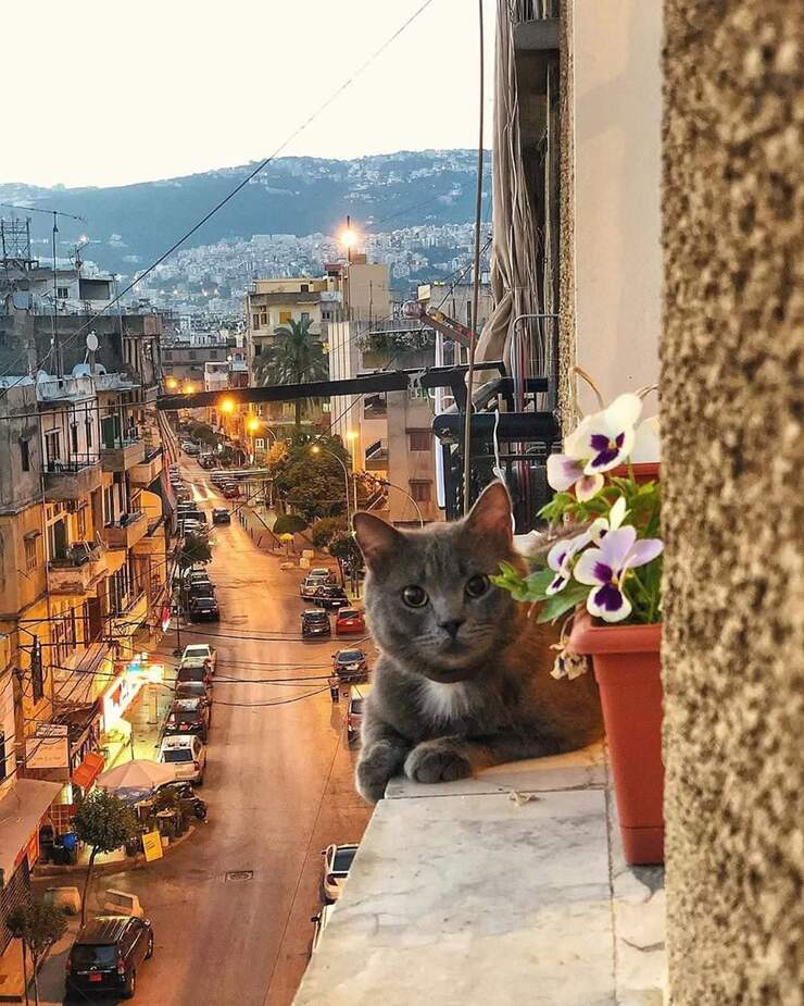 Lebanon From Above