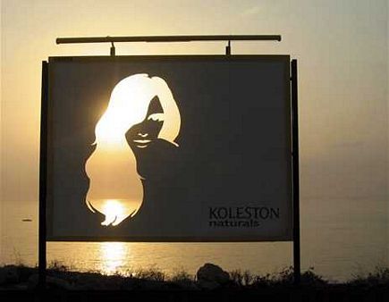 Creative billboard campain for Koleston Naturals