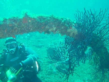 Diving In lebanon