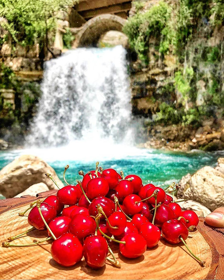 Lebanon Summer