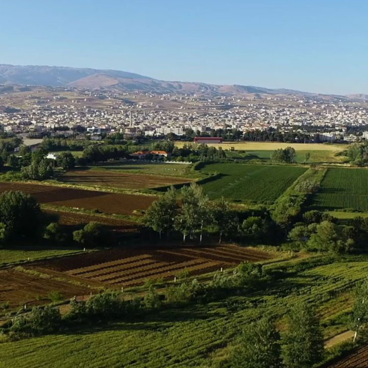 Lebanon Summer