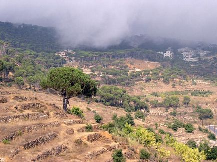 Dhour Chweir shrouded with Fog