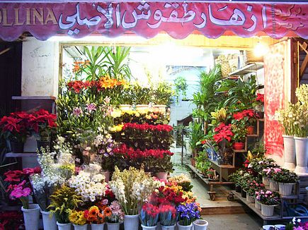 Florist