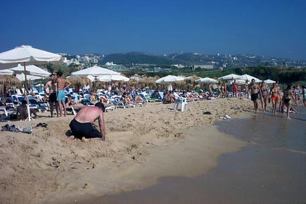 Eddé Sands