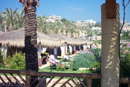 Eddé Sands