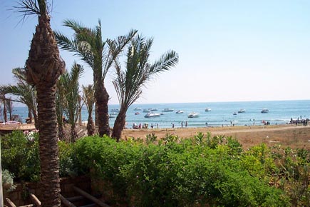 Eddé Sands