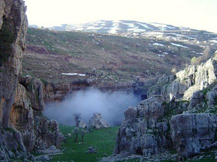 Tannourine