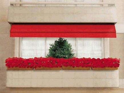 Florist Ad