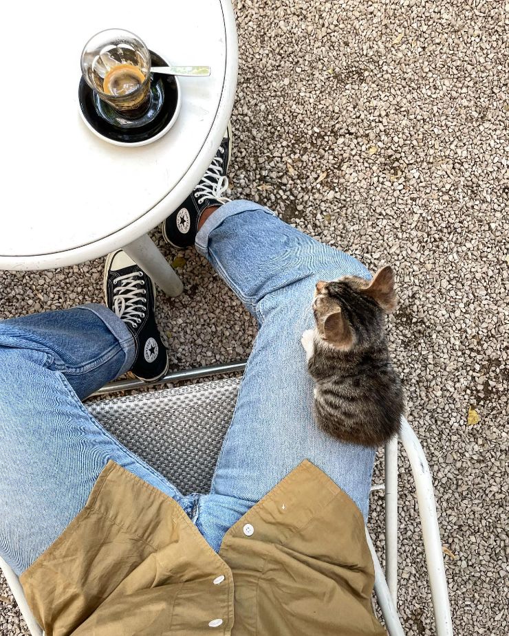 Coffee with a Cat
