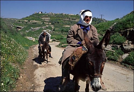 Les moyens de transport au Liban