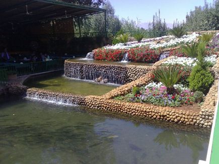 Flower Pond