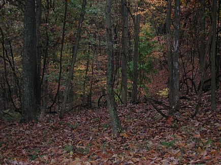 Fall in leb