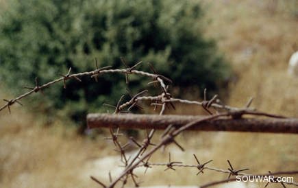 Peering Through Barbed Wire