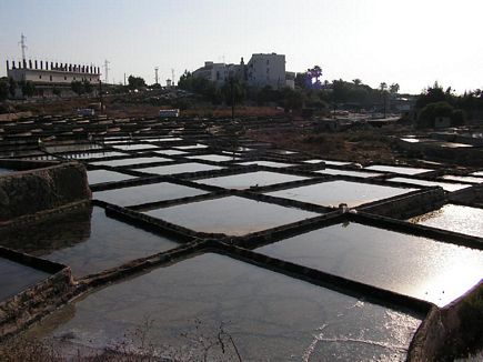 Salt Farm