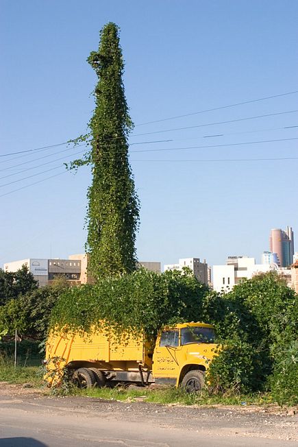 Truck in hazmieh