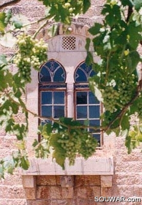 Window