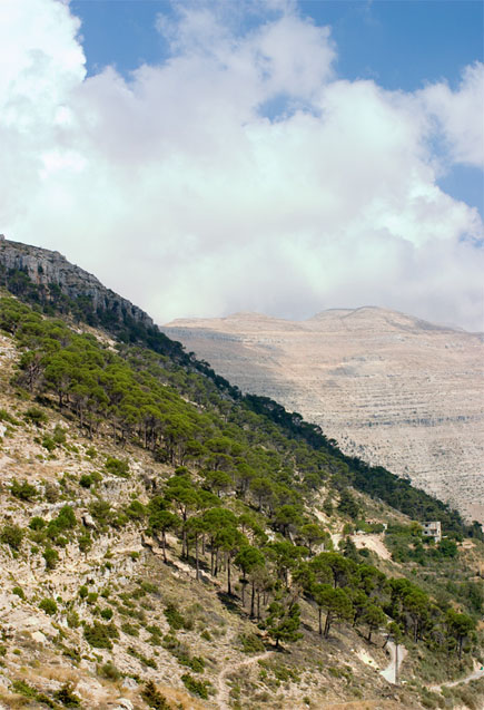 Ehden Reserve