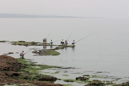 Fisher man Tripoli