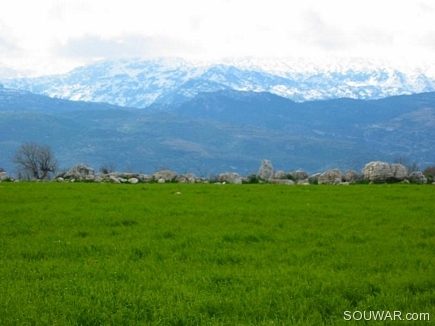 A Green Field In Face Of Akkarian Mountains , Daher Nassar , Aadbel