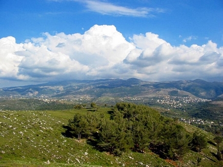 A Part Of The Pin Forest Of Gebrayel & Al Joumi Villages Behind