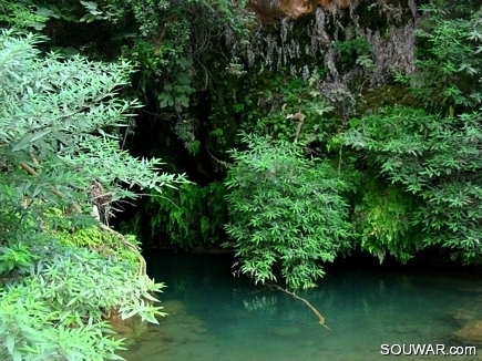 A Secret Garden on Arka River