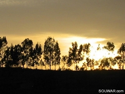 A Sunset In My Village, Aadbel, Akkar