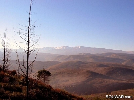 Akkarian Mountains At Sunrise , From A Hill In Gebrayel