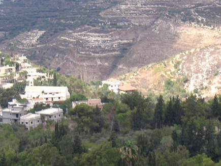 Al Wadi from Above