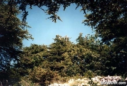 Arz el Barouk