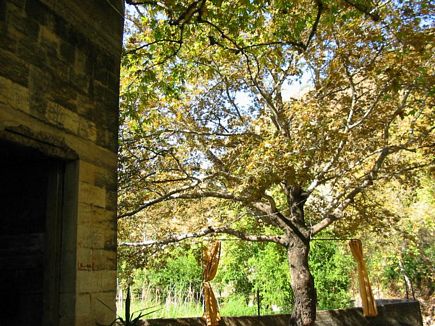 Automn on Arka River Hakour