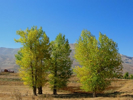 Automn Scenic View , Al Arz , Becharri , North Lebanon