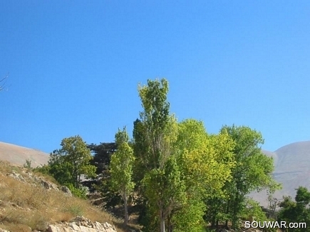 Autumn Scenic View , Al Arz , Becharri , North Lebanon