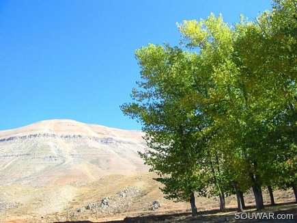 Automn Scenic View , Al Arz , Becharri , North Lebanon