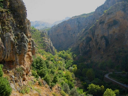 Automn , Kannoubine Valley , Becharri