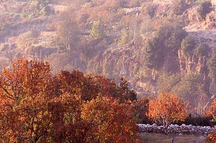 Automn in Ehden