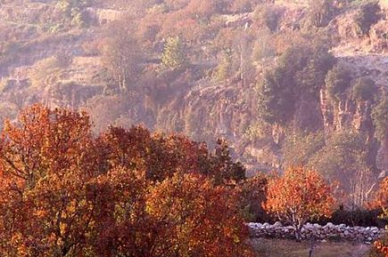 Automn in Ehden