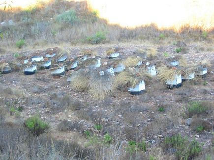 Bees Houses , Kantara , Akka