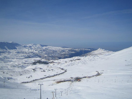 Cedars Slopes