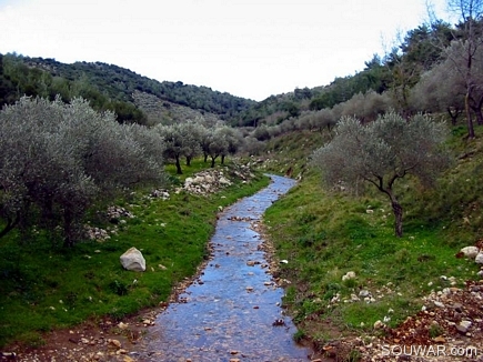 Early Spring , Bayno , Akkar