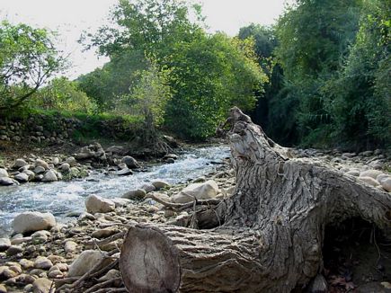 Estwan River Scene In Automn , Mazraat El Balda