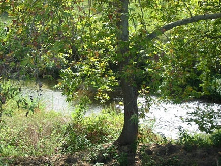 Estwan River, El Hed, Akkar