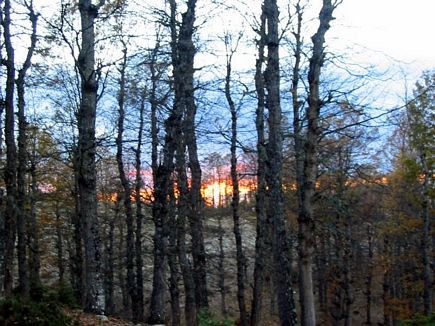 Explosive Sunset , The Iron Oak Forest , Kamoua