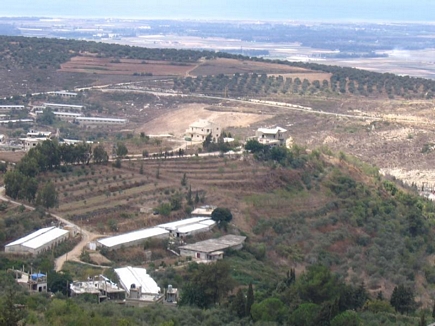 Farms in Al Chalouk