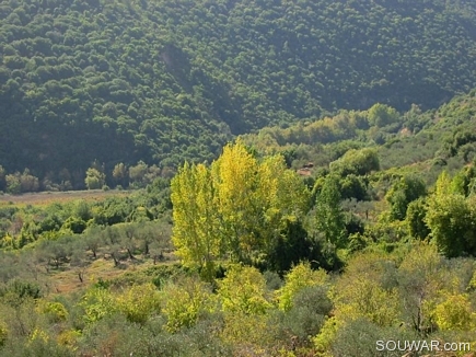 Golden Grounds , Deir Jannin , Akkar