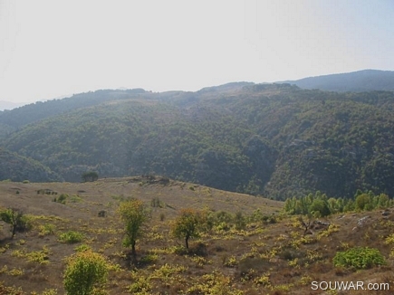 Golden Grounds, Knat,  Becharri, North Lebanon