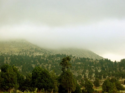 Haze filling the reserve , Kamoua