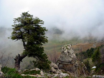 Haze In The Valley Below Nabaa Chouh Summit , Kamoua